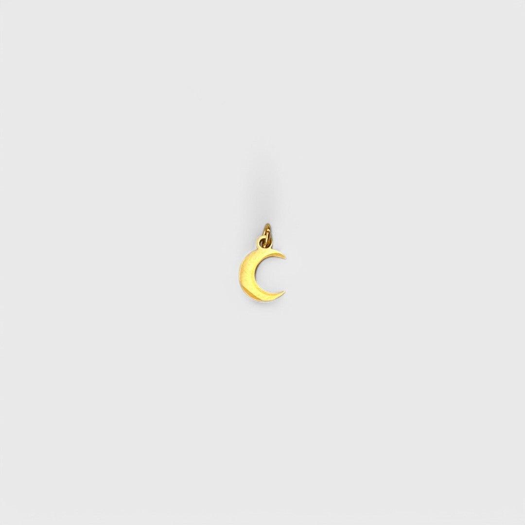 Charm LUNA - SISARU.