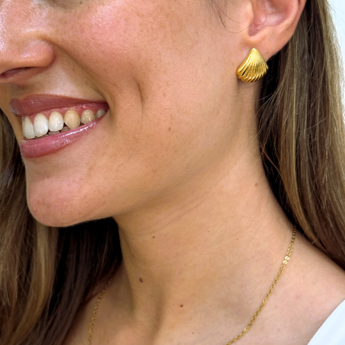 Pendientes de CONCHA