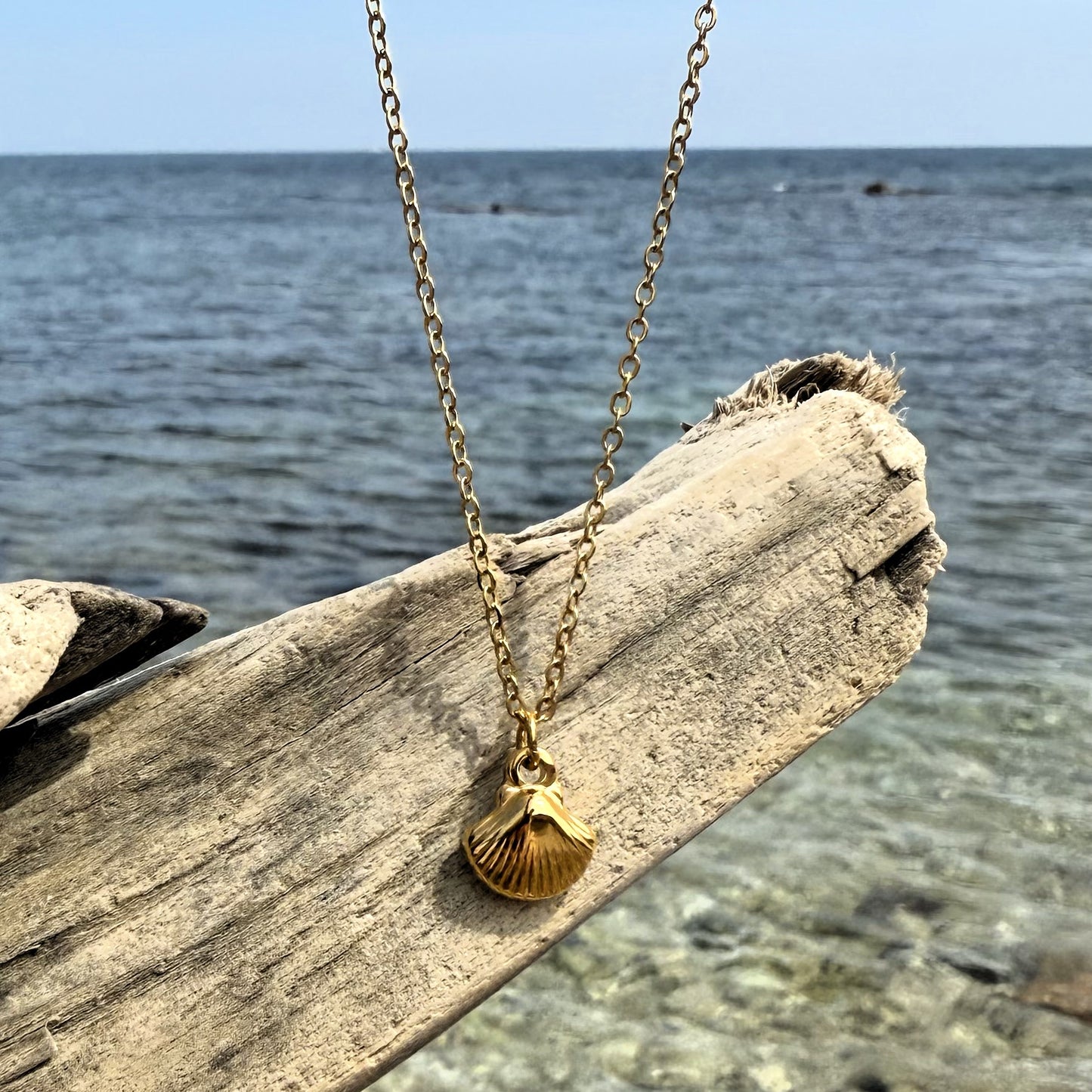 Shell Necklace