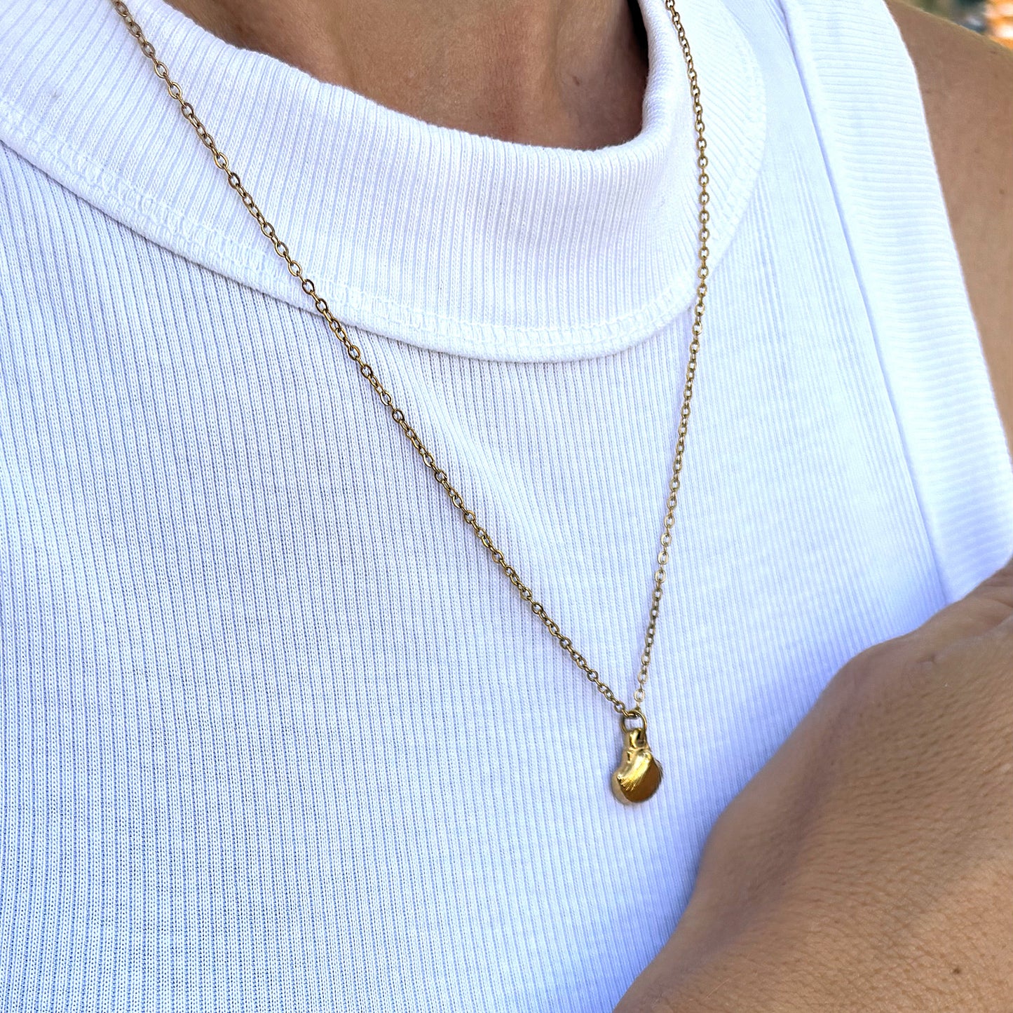 Shell Necklace