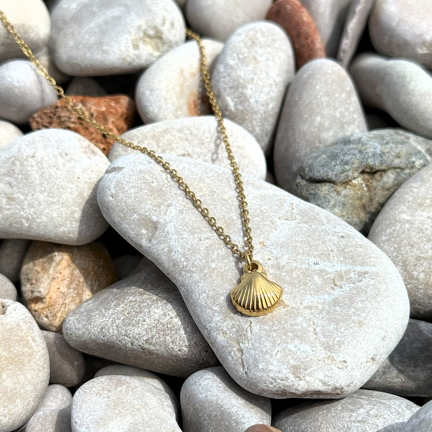 Shell Necklace