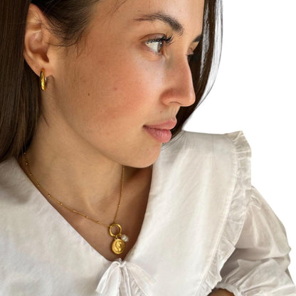 Pendientes NADINE - SISARU.