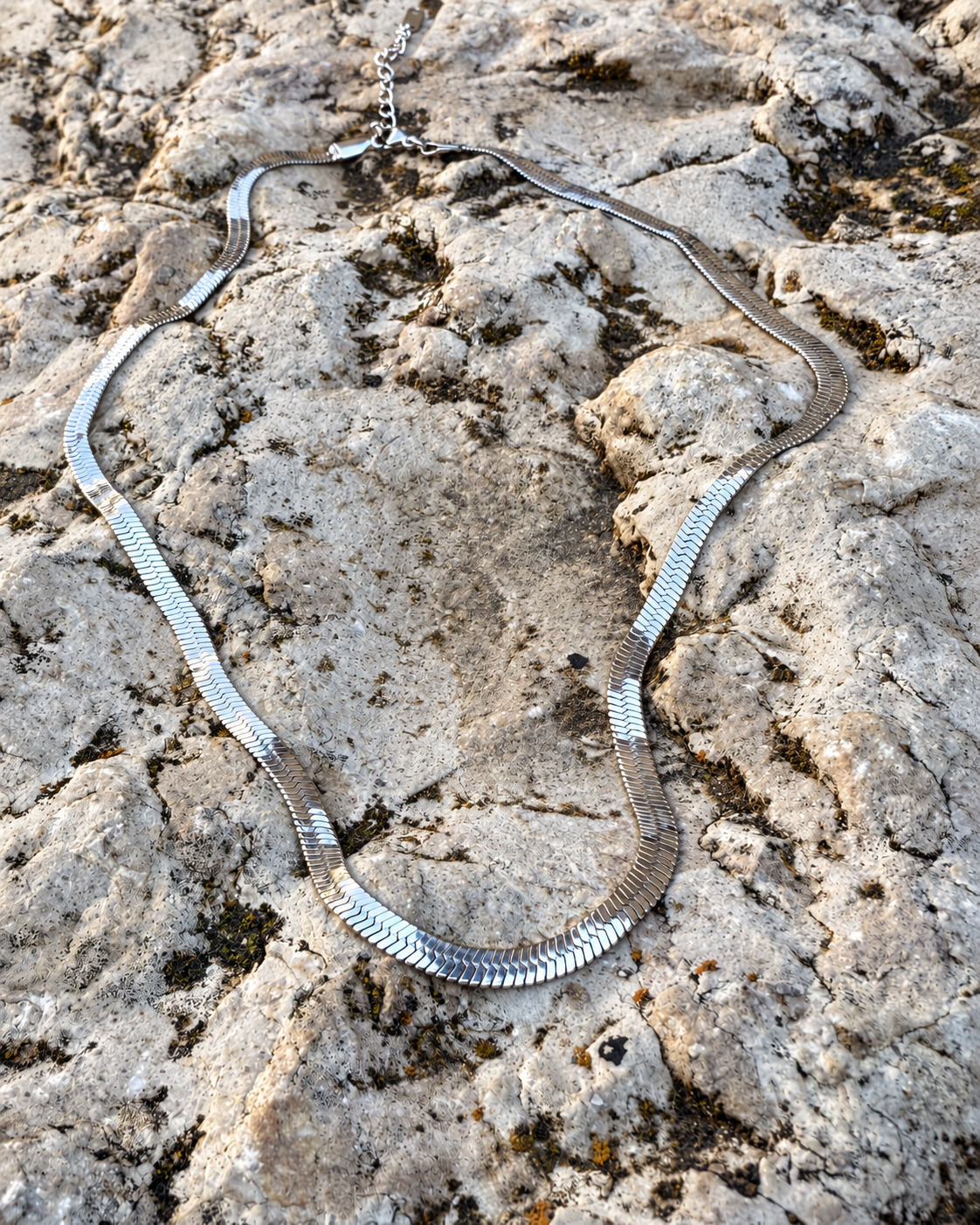 SNAKE chain