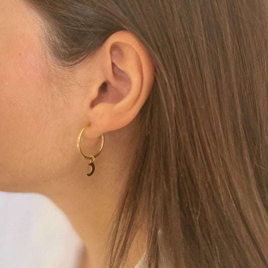 Charm LUNA - SISARU.