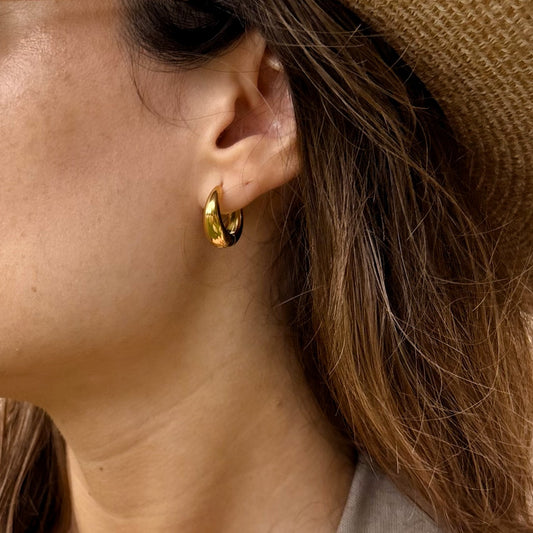 Pendientes CLARA