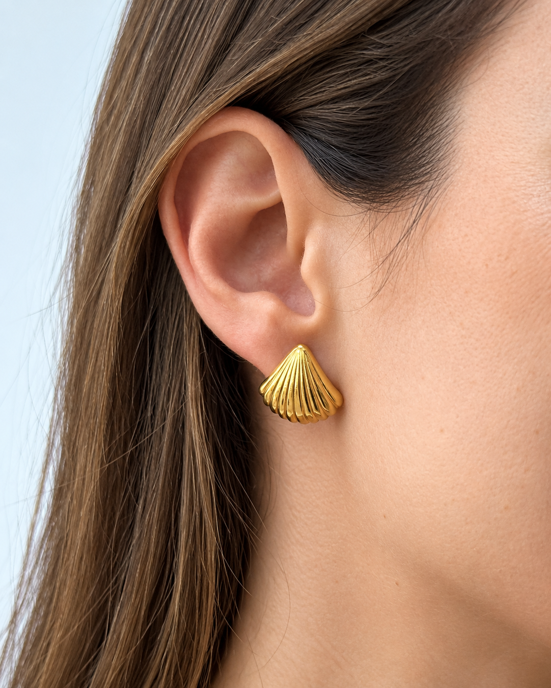Pendientes de CONCHA