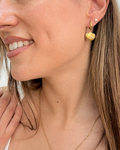 Aritos con concha