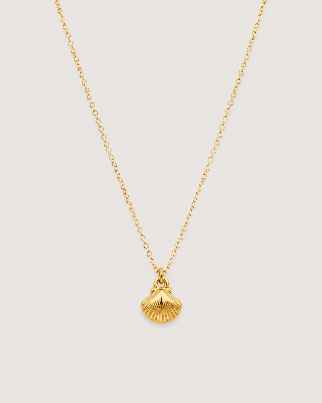 Shell Necklace