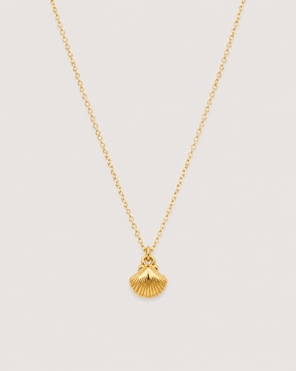 Shell Necklace