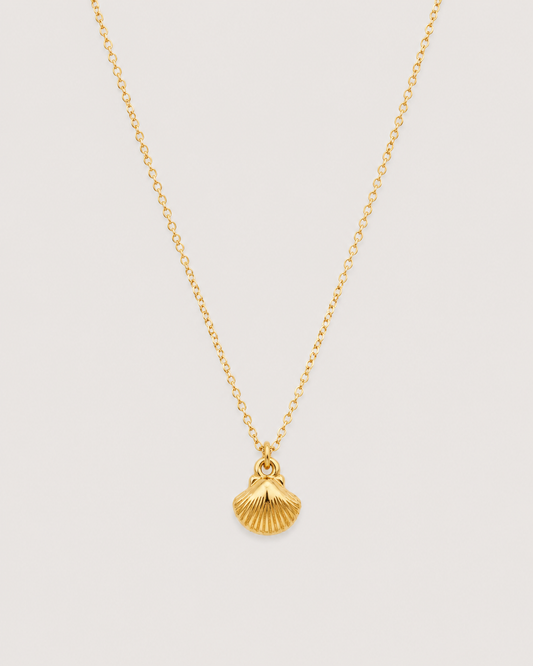 Shell Necklace