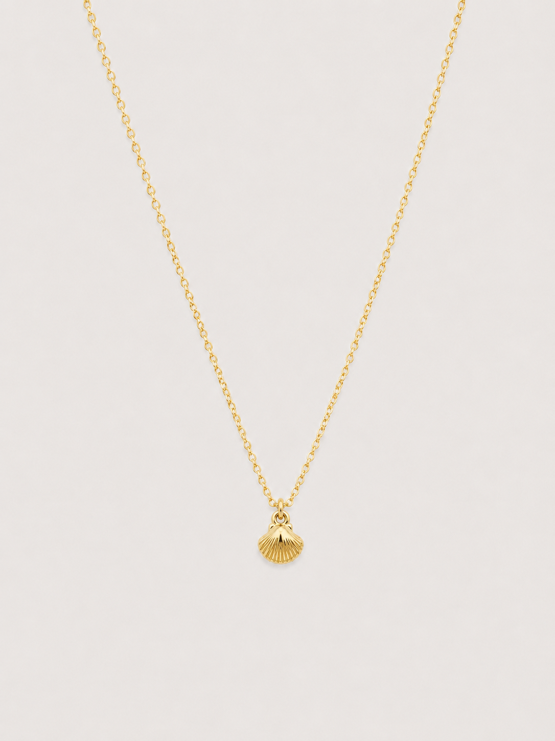 Shell Necklace