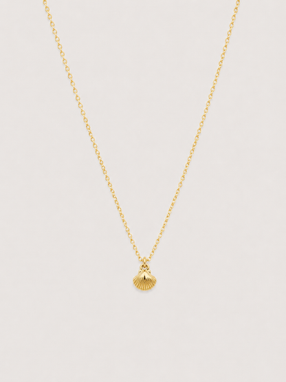 Shell Necklace