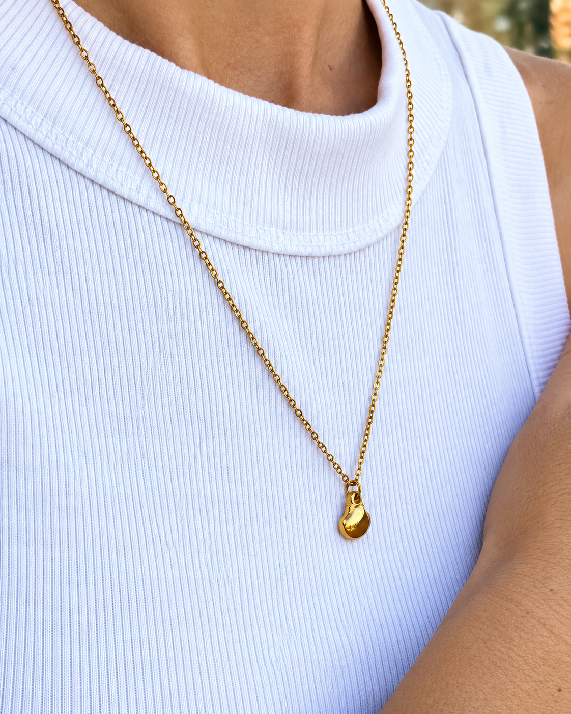 Collar de CONCHA