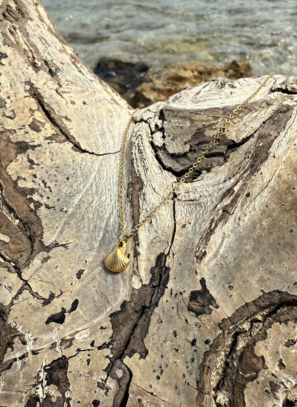 Shell Necklace