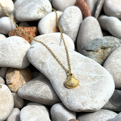Shell Necklace