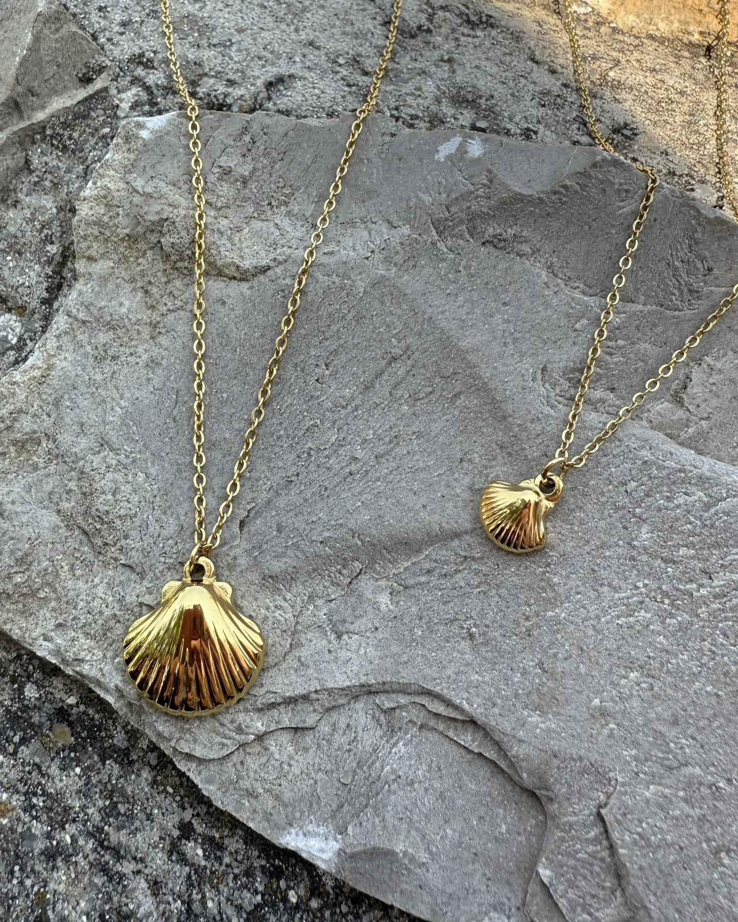 Shell Necklace