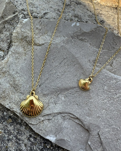 Shell Necklace