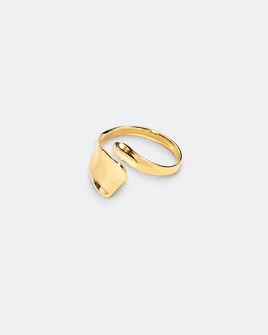 Anillo IRIA