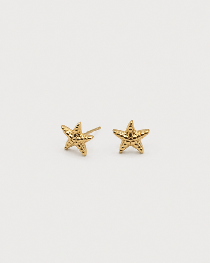 Pendientes ESTRELLA de MAR