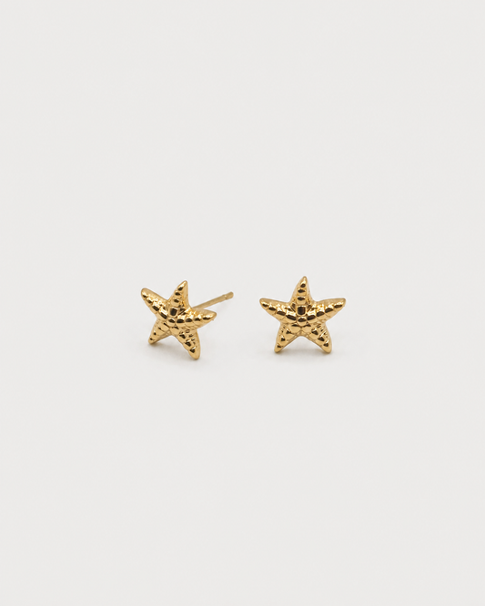 Pendientes ESTRELLA de MAR