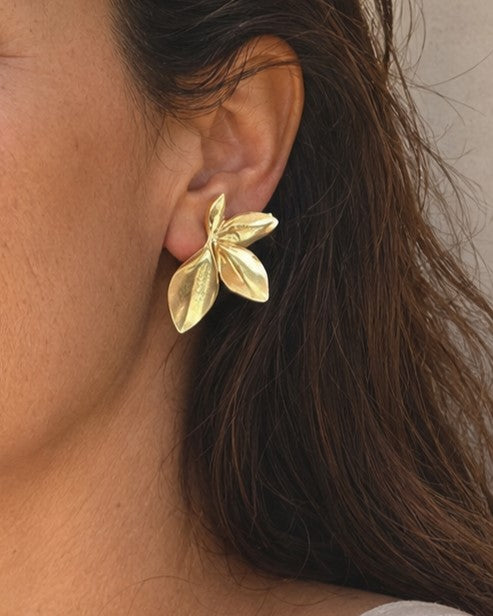 Pendientes LAURA
