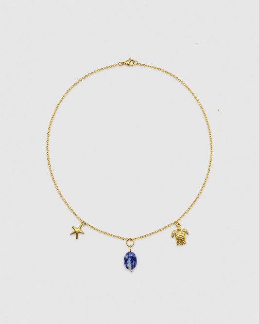 Collar MAR 01