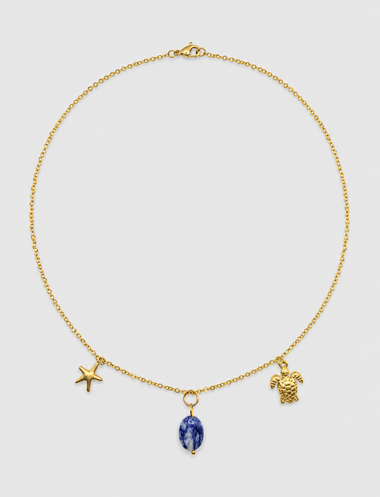 Collar MAR 01