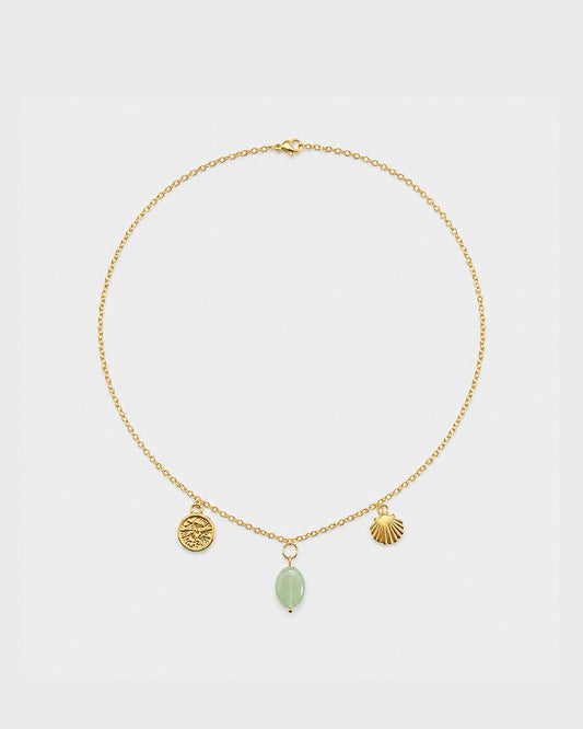 Collar MAR 02