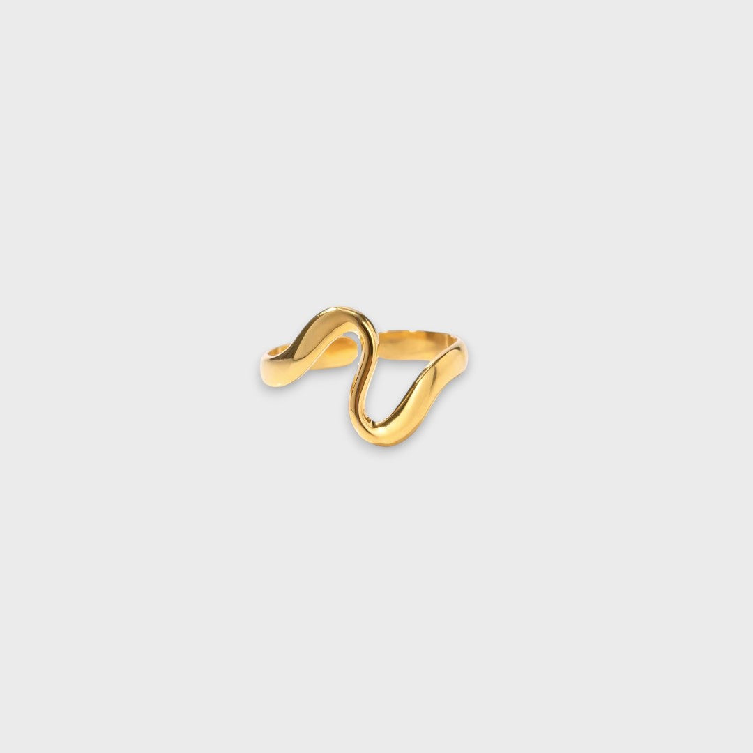 Anillo LARA