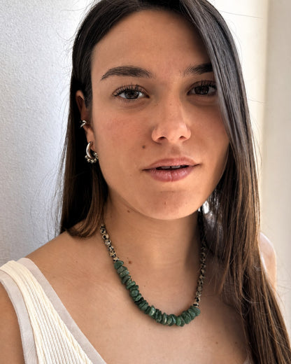 Aros DÁLMATA 01
