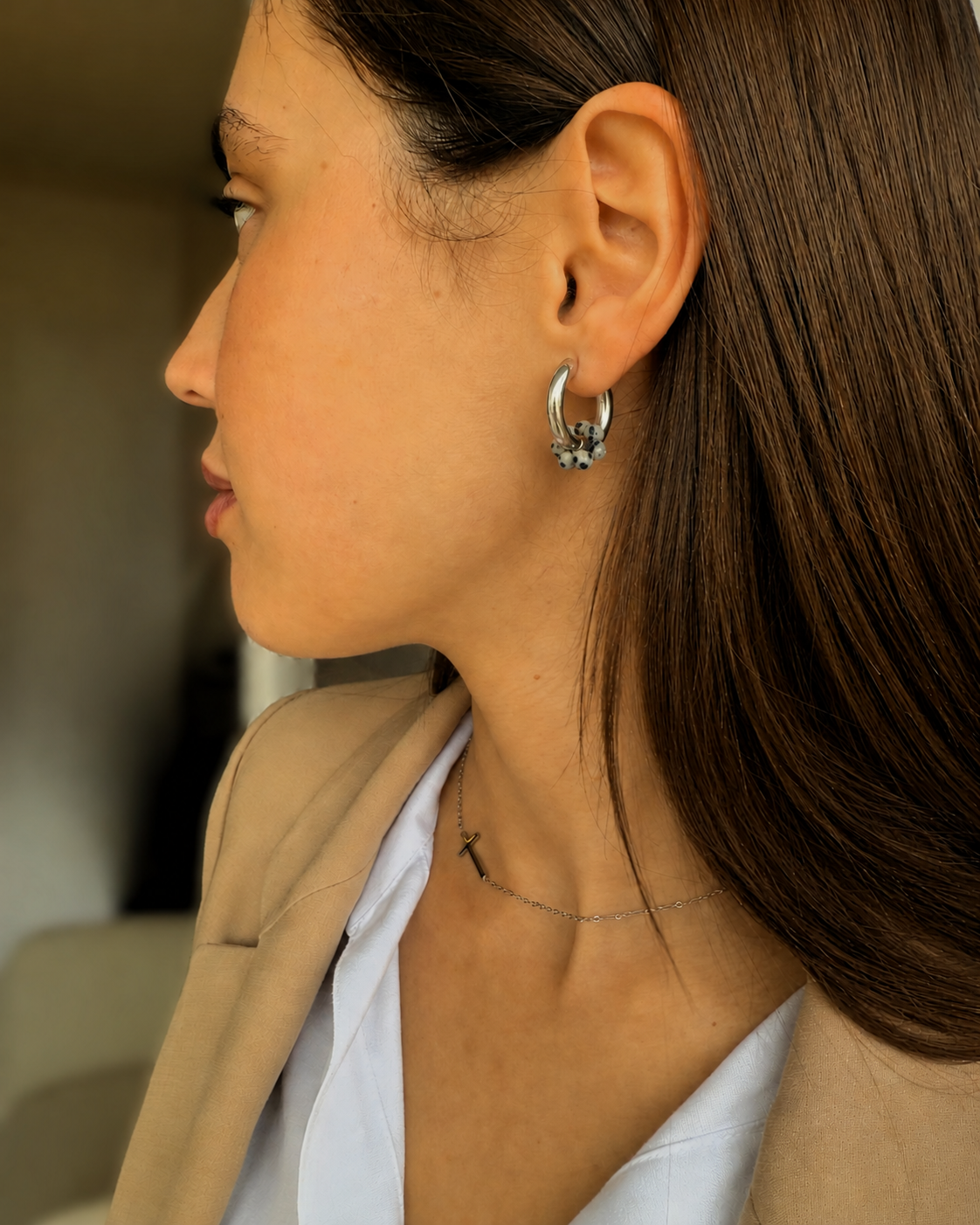 Aros DÁLMATA 01